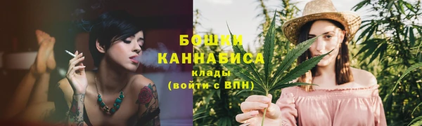 мяу мяу мука Магас