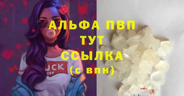 мяу мяу мука Магас