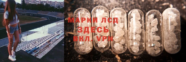 мяу мяу мука Магас