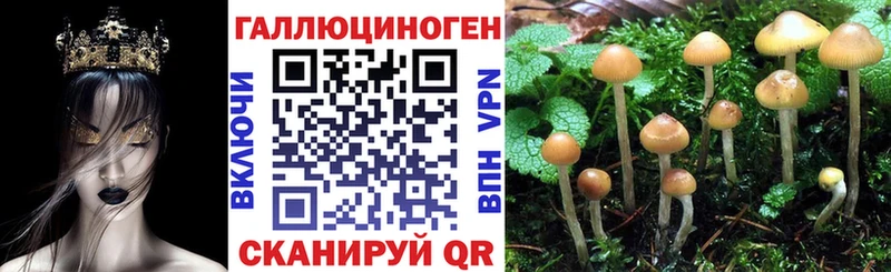 hydra онион  Озёрск  Галлюциногенные грибы ЛСД  магазин продажи наркотиков 